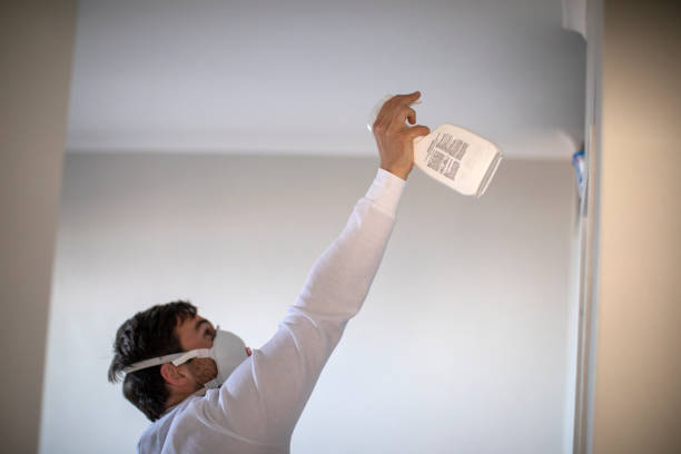 Best Insurance-Related Mold Remediation in Hillsborough, CA