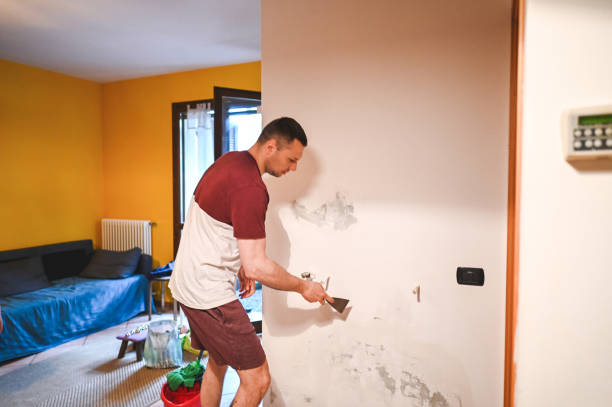 Best Health and Safety Mold Remediation in Hillsborough, CA